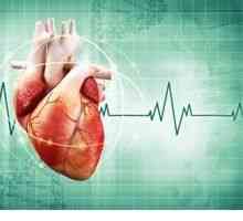 Noua dezvoltare a inimii artificiale dă speranță pentru viață!