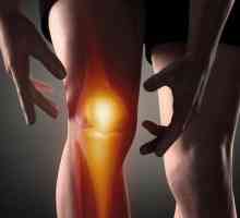 Cauzele și tratamentul durerii și criza în genunchi în flexie și extensie