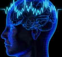 Cauze și simptome de epilepsie