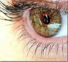 Cele mai frecvente boli ale retinei