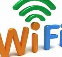 Wi-Fi - cauza principală a spermei saracului!
