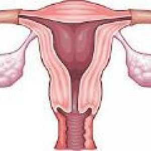 Uter infantil la femei - Tratamentul