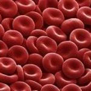 Celulele roșii ale sângelui în urină în timpul sarcinii, rata, crește