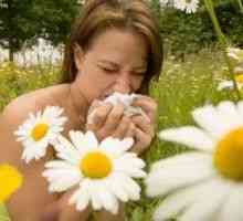 Alergia de vară la copii, la adulți, tratament