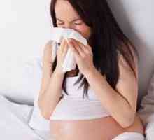 Alergiile in timpul sarcinii