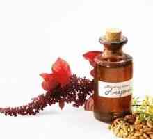 Amarant (ulei de amaranth) - proprietăți terapeutice, aplicarea