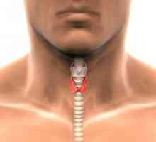 Analizele de sange pentru hormoni tiroidieni, descifrare
