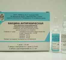Vaccin antirabic