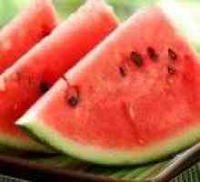 Watermelon - descrierea proprietăți utile, aplicare