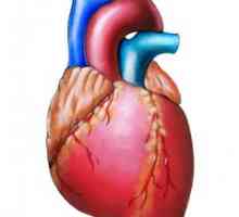 Aritmie cardiacă