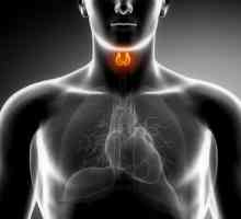 Tiroidiene autoimune tiroidita ce este