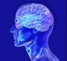 Ateroscleroză cerebrală: cauze, simptome, diagnostic, tratament