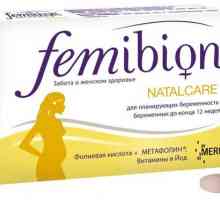 Cât de util vitamine pentru femibion ​​gravidă?