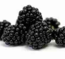 Blackberry - proprietăți utile și contraindicații