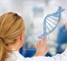 Examinarea genetică pentru paternitate