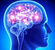Hidrocefalie creierului la adulți