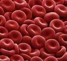 Celulele roșii ale sângelui în urină în timpul sarcinii, rata, crește