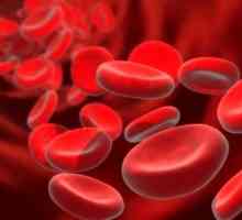 Cum de a crește hemoglobina din sânge
