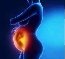 Cum este maturizarea placentă în timpul sarcinii