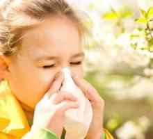Cum pot afla o alergie la un copil?