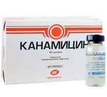 Kanamicină