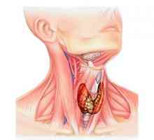 Chist tiroidian
