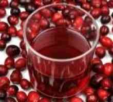 Cranberry: proprietăți terapeutice benefice, contraindicații