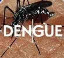 Febra dengue: cauze, simptome, tratament