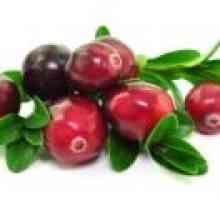 Frunze cranberries - proprietăți și aplicații, contraindicații