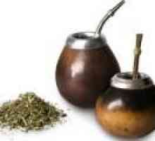 Mate (ceai) - proprietăți benefice, utilizarea și contraindicații