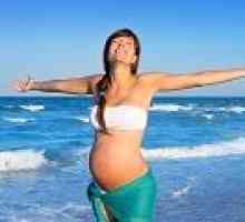 Pot călători în timpul sarcinii?