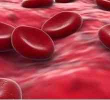 Norma hemoglobinei în sânge