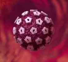 HPV si sarcina: diagnostic, consecințele și tratamente
