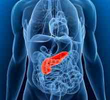 Pancreas: simptome