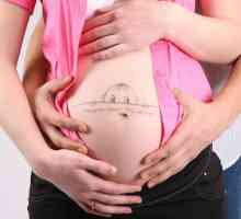 Alocație de maternitate