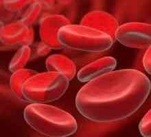 Creșterea numărului de leucocite în sânge: leucocitoză