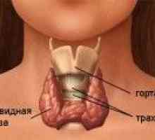 Semne de boli tiroidiene