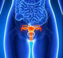 Cancerul de col uterin: speranța de viață
