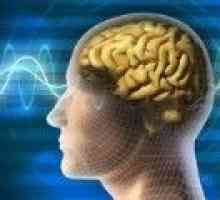 Mecanismele de influență asupra creierului uman de Alzheimer