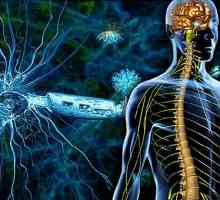 Simptomele și tratamentul sclerozei multiple