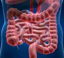 Sindromul de colon iritabil Tratamentul