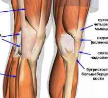 Taping articulației genunchiului