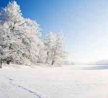 Oamenii de știință au descoperit ceea ce vremea este mai dăunătoare în timpul iernii!