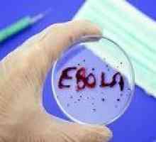 Oamenii de știință au fost capabili de a dezvolta un vaccin eficient împotriva Ebola