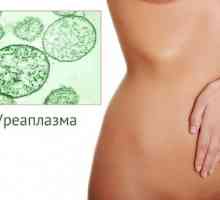 Ureaplasma la femei - simptome și tratament