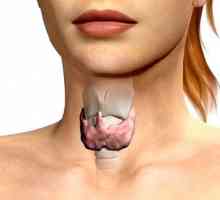 Gusa nodulara a glandei tiroide