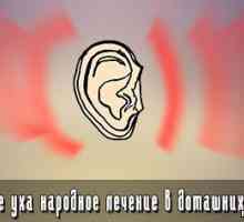 Inflamație a urechii tratament la domiciliu populare