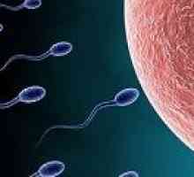Primele celule spermatice create din pielea umană