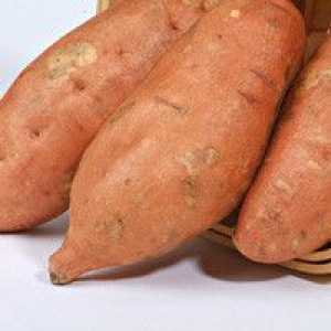 Yam sau cartofi dulci - o descriere a proprietăți utile, aplicare