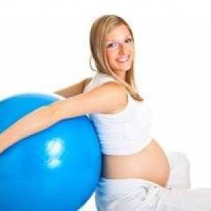 Gimnastica pentru gravide al doilea trimestru